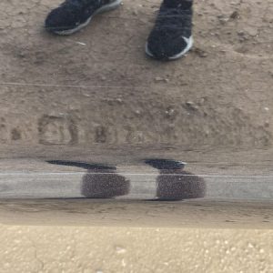 Image027